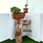 Juvimar Gasthuis 3*