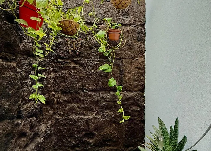 Juvimar 3* アレシフェ